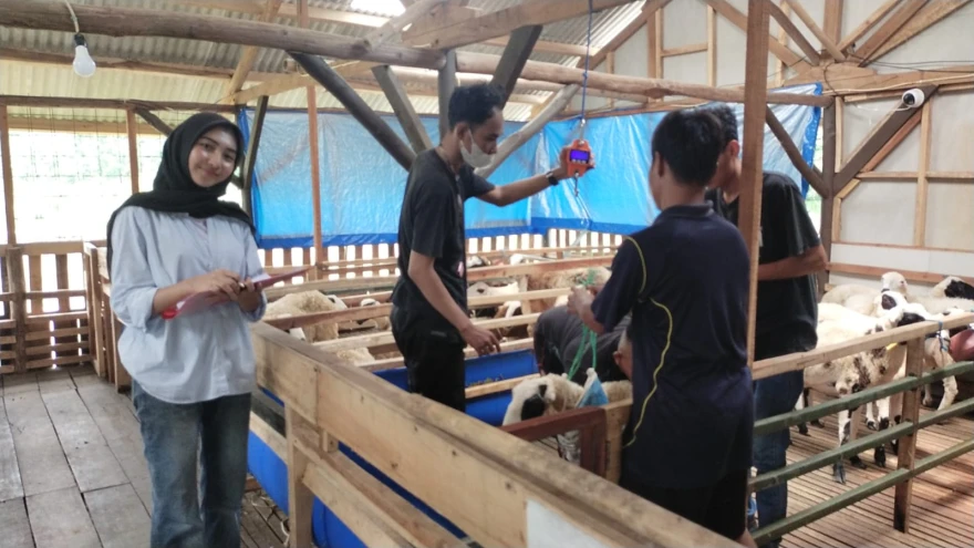 Proses Penimbangan Bawah